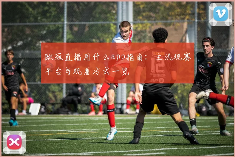 欧冠直播用什么app指南：主流观赛平台与观看方式一览