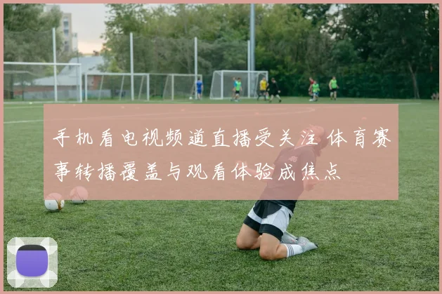 手机看电视频道直播受关注 体育赛事转播覆盖与观看体验成焦点