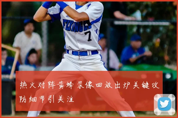 热火对阵黄蜂录像回放出炉关键攻防细节引关注